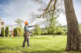 Best Tree Trimming and Pruning  in Chatsworth, IL